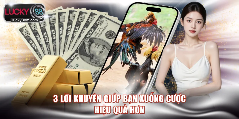 3 lời khuyên giúp bạn xuống cược hiệu quả hơn