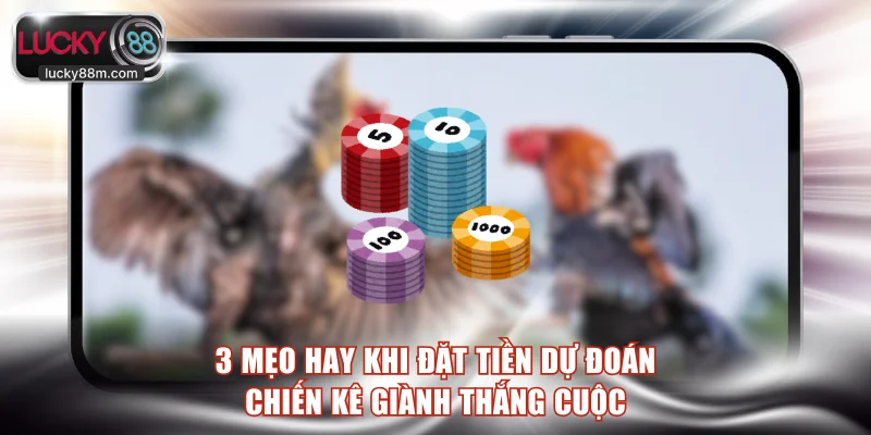3 mẹo hay khi đặt tiền dự đoán chiến kê giành thắng cuộc