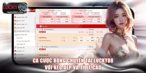 Cá cược bóng chuyền