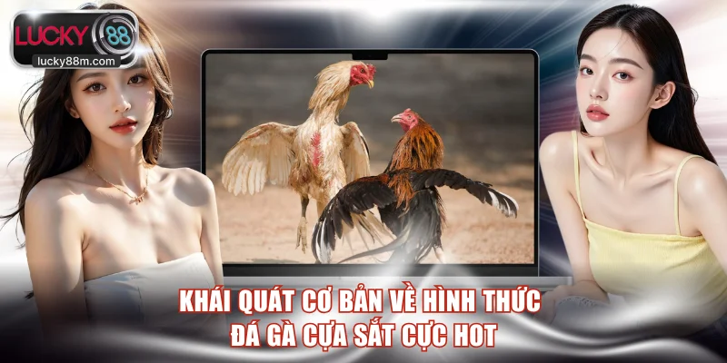 Khái quát cơ bản về hình thức đá gà cựa sắt cực hot