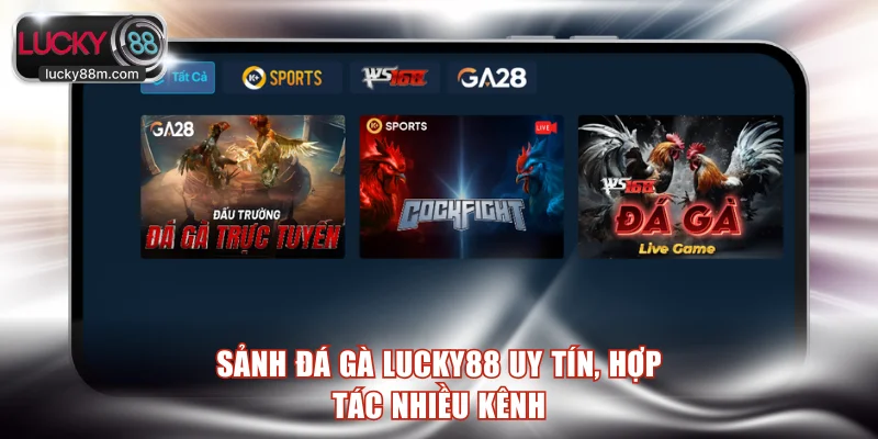 Sảnh đá gà LUCKY88 uy tín, hợp tác nhiều kênh